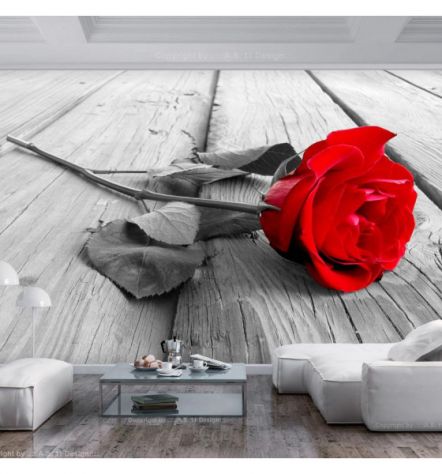 Fotomurale Adesivo Con Una Rosa Rossa Sul Legno ARREDALACASA