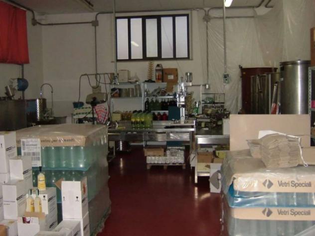 Immobile in asta di 135 m² in vendita a Pergola - Foto 19