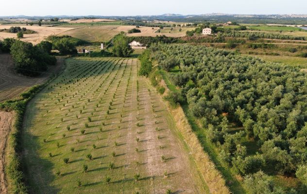 Podere Località Roggi - Foto 4