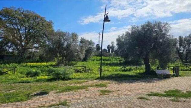 Immobile in asta di 1530 m² in vendita a Portigliola - Foto 4