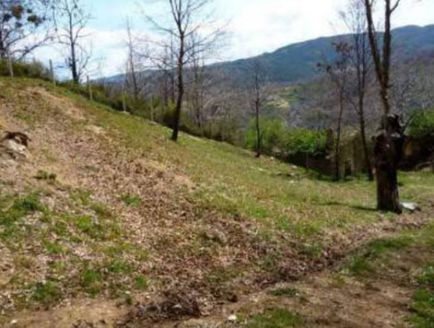 Immobile in asta di 28736 m² in vendita a Rende - Foto 10