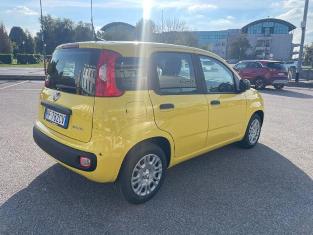 FIAT Pandina Pandina 1.0 FireFly 65 CV Hybrid Icon - Foto 10