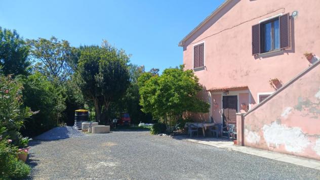 Appartamento in vendita a Riparbella 60 mq Rif: 1423924