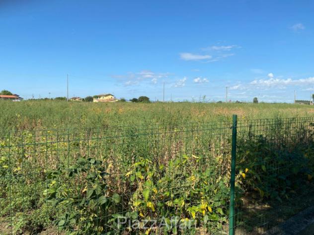 Terreno a Codevigo - Rif. COD38 - Foto 2