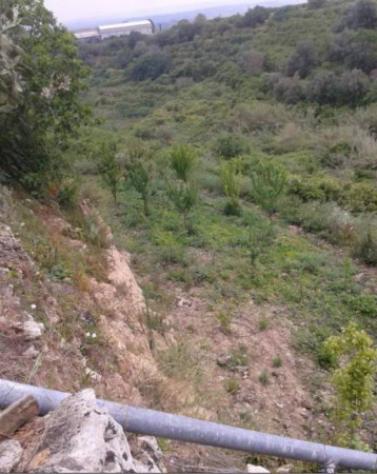 Immobile in asta di 42847 m² in vendita a Militello in Val di Catania - Foto 4