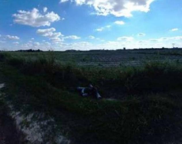 Immobile in asta di 29104 m² in vendita a Roverchiara - Foto 5