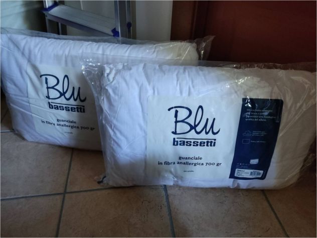 Coppia guanciali cuscini Bassetti Blu