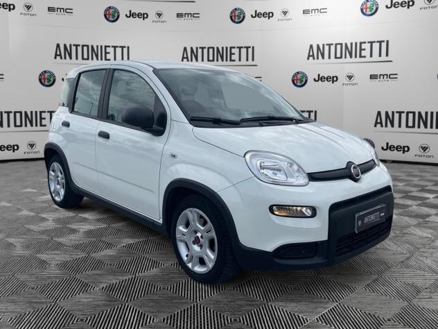 FIAT Panda Panda 1.0 Firefly Hybrid 70cv Pop - Foto 3