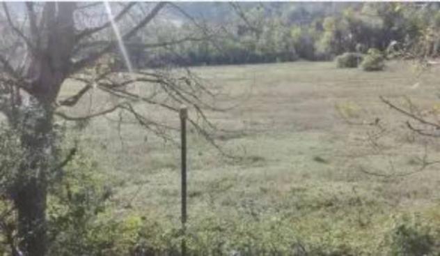 Immobile in asta di 25966 m² in vendita a Acqualagna - Foto 2