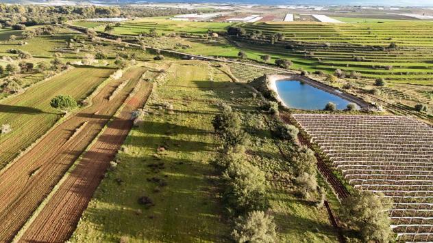 Terreno in vendita a Caltagirone - Foto 8