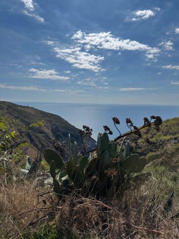 TERRENO PANORAMICO DI 620 MQ – PANZA, FORIO (ISCHIA) - Foto 2