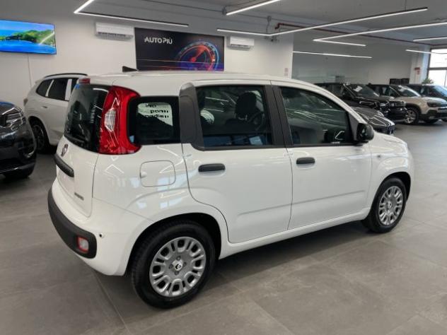 FIAT Pandina 1.0 Hybrid Icon KM0 MY26 rif. 24054649 - Foto 4