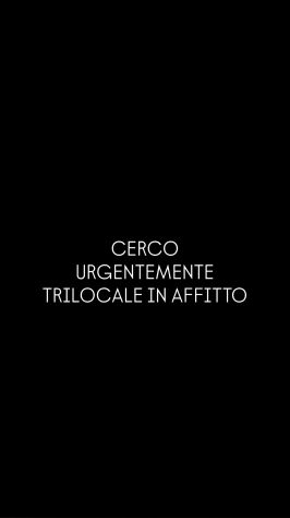 CERCO TRILOCALE IN AFFITTO