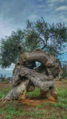 Venditori Porta a Porta