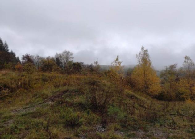 Immobile in asta di 6316 m² in vendita a Firenzuola