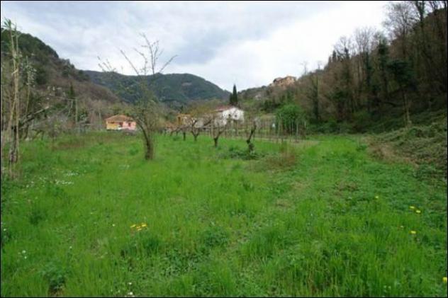 Seminativo in vendita a Fosdinovo