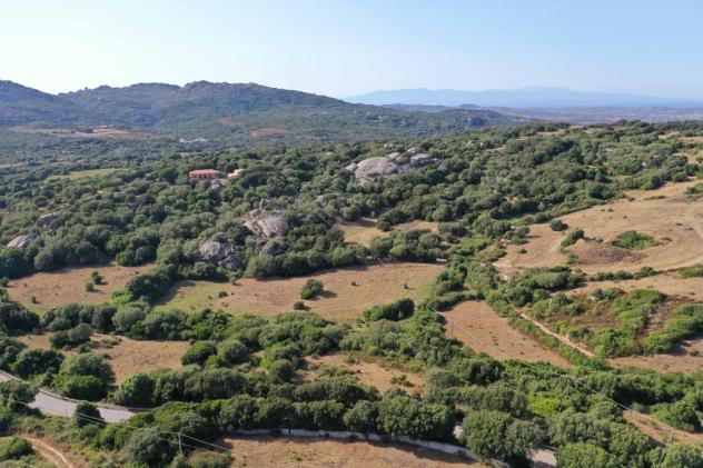 Terreno agricolo in vendita a Luogosanto 45000 mq Rif: 1356628 - Foto 3
