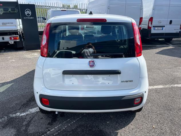 FIAT Pandina Pandina 1.0 firefly hybrid Icon s&s 65cv - Foto 10