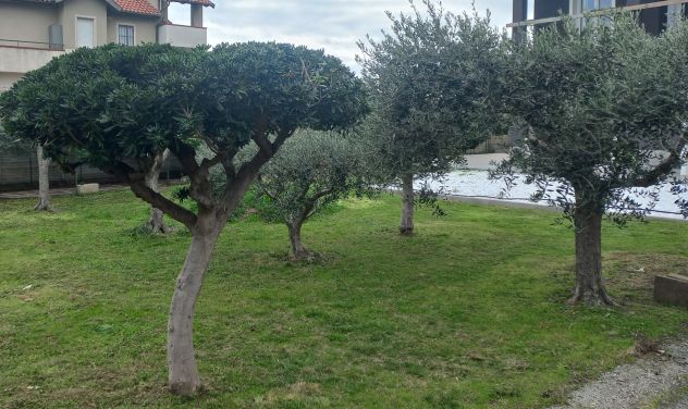 Privato vende villa fronte mare, prima fila trattativa riservata NO AGENZIA