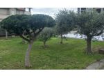 Privato vende villa fronte mare, prima fila trattativa riservata NO AGENZIA