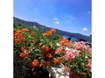 B&B Fiorella