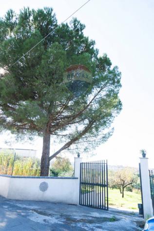 Terreno in vendita a Camporotondo Etneo - Foto 3