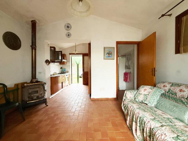 Terreno agricolo in vendita a Rosignano Marittimo 9330 mq Rif: 1387072 - Foto 5