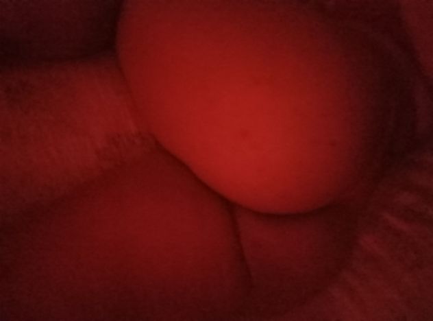 Ciao tesoro, sono Emy, 26 anni, appena arrivata. Dolcissima, simpatica, accogliente. - Foto 4 Tel:3511104978