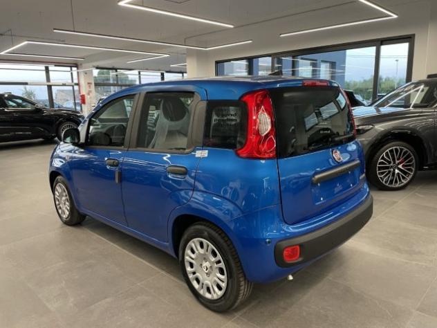 FIAT Pandina 1.0 Hybrid Icon KM0 MY26 rif. 24062532 - Foto 4