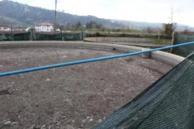 Immobile in asta di 1055 m² in vendita a Meldola - Foto 19