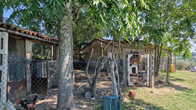 Porzione di casa in vendita a Montecastrilli - Foto 9