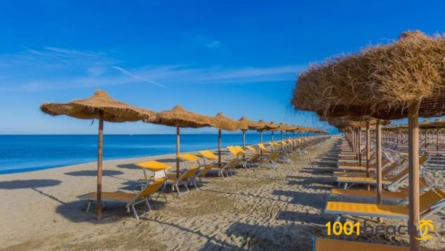 Appartamento in vendita a Tirrenia - Pisa 55 mq Rif: 1075447 - Foto 2