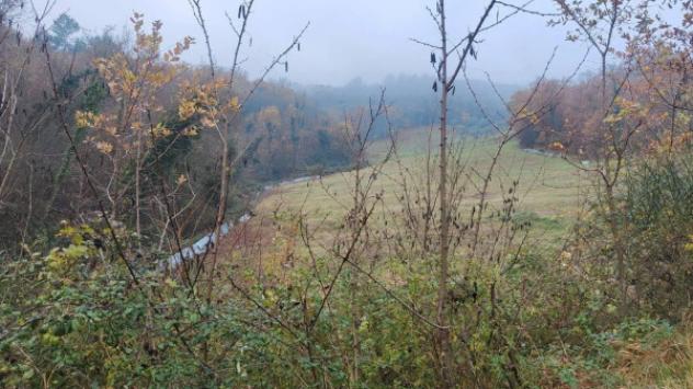 Immobile in asta di 21850 m² in vendita a Configni - Foto 2