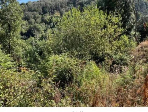 Immobile in asta di 62700 m² in vendita a Galatro - Foto 9