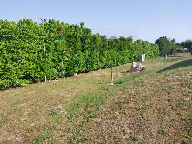 Villa singola in vendita a Modica, Modica Sorda - Foto 15