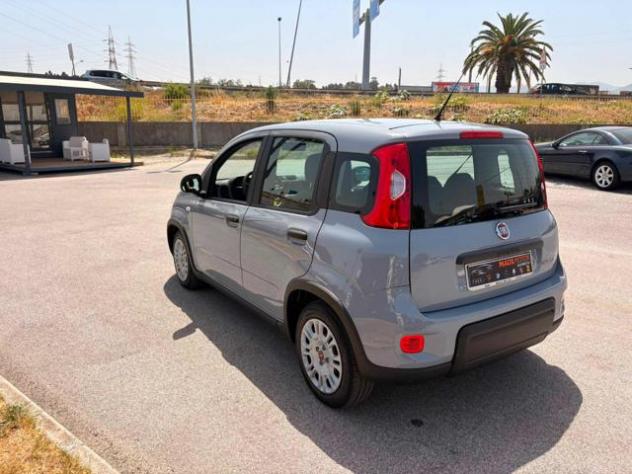 FIAT Panda 1.0 FireFly S&S Hybrid rif. 23247229 - Foto 3