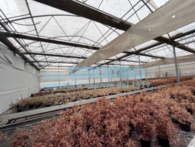 Immobile di 5000 m² in affitto a Brescia - Foto 8