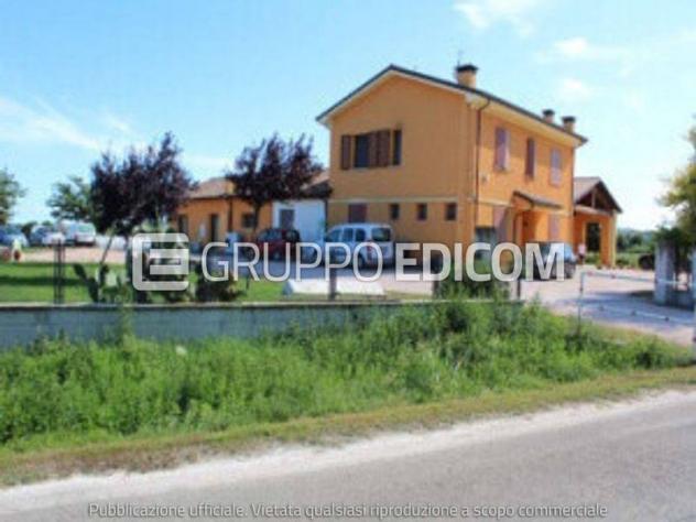 Fabbricati per attività agricole in vendita a Cesena - Rif. 4552648 - Foto 5