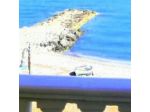 Al Giglio Bed & Breakfast