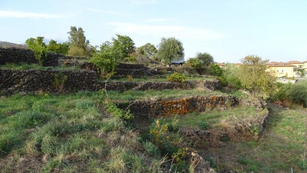 Area verde in vendita a Mascalucia - Foto 3