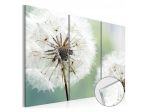 Quadro Con Un Fiore Bianco Cm.60x40 O 120x80 Vetro Acrilico