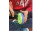 CHIODI CALZATURE ATLETICA USO CAMPESTRE VARIE SPORGENZE DISPONIBILI