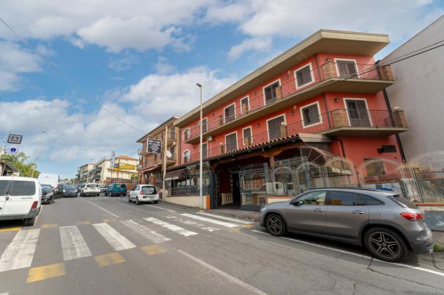 Bar Pasticceria in vendita a Camporotondo Etneo - Foto 2