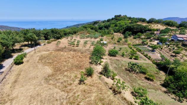 Agricolo in Contrada Vignale