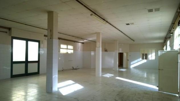 Laboratorio in vendita a Ponsacco 254 mq Rif: 1378148