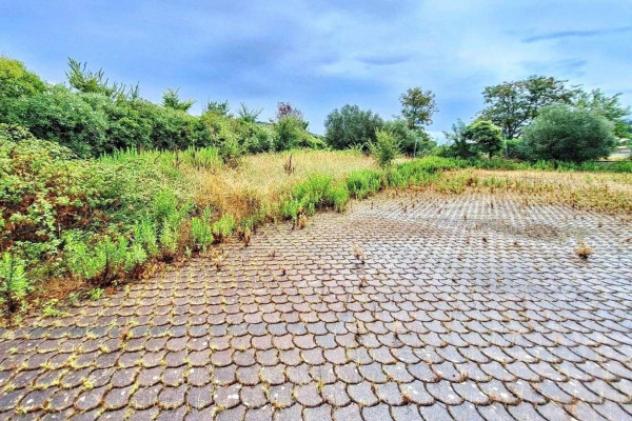 Immobile in asta di 3307 m² in vendita a Vicopisano - Foto 2