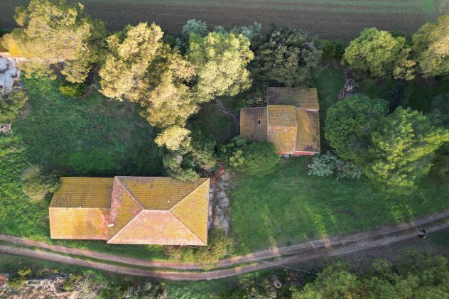 Magliano in Toscana, Podere Pantanella unione di passione e buon gusto - Foto 4