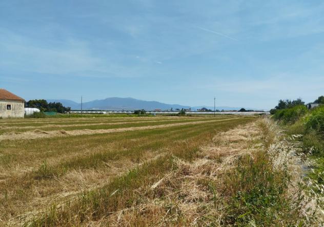 Seminativo in vendita a Eboli - Foto 2