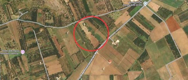 TERRENO AGRICOLO STRADA PROVINCIALE FALCIANO-MONDRAGONE - MONDRAGONE -Rif. V3138 - Foto 6