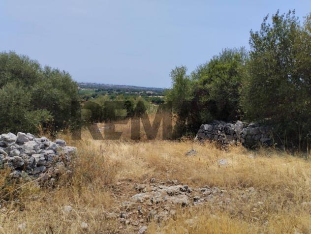 Terreno Edificabile in vendita a Rosolini - Foto 3